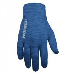 Gloves Blue